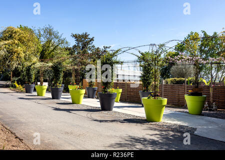 Alley of large colored vases Stock Photo