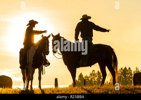 Cowboys on horses, sunrise, British Colombia, Canada Stock Photo