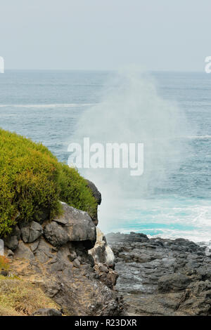 Blowhole Galapagos Islands Espanola Stock Photo - Alamy