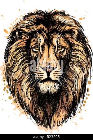 Lion Hearted Head of Half Lion and Half Human Heart Black and White Drawing  by patrimonio #1724825