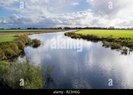 Rural Dutch landscape with green pasture, horses and farms in ...