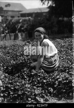 Palestine (Israel) Nahalal. Girls' agricultural training school. Picking violets. A better class city girl immigrant turning to agriculture. 1920 Stock Photo