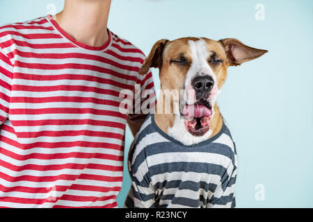 Funny yawning dog and owner in similar clothes. Sleepy morning idea: puppy and human in same t-shirts in studio background Stock Photo