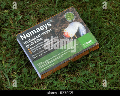 Nemasys Nematode Biological Control of Chafer Grubs in Lawns, UK Stock Photo