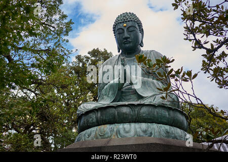 Bronze Buddha at Tennoji Temple, Yanaka, Tokyo, Japan, Asia Stock Photo