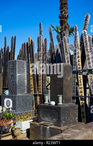 Japanese graveyard with Toba tablets (memorial tablets) in Kyoji Buddhist Temple in Yanaka, Tokyo, Japan, Asia Stock Photo