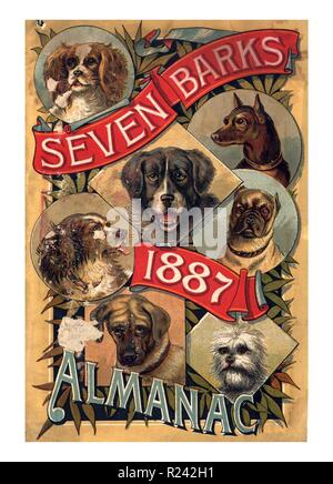 By the end of the 19th century, at least one patent medicine almanac was printed for every two Americans. While they included the main elements of the traditional almanac, their primary purpose was to sell their product. From their simple beginning, they had evolved into colourful and heavily illustrated works with a sophisticated use of images. Stock Photo