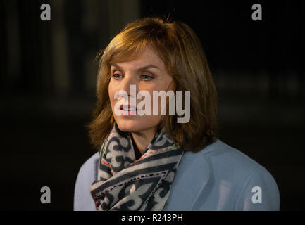 Journalist, newsreader and television presenter, Fiona Bruce, reporting for the BBC from Downing Street about the latest Brexit developments. Stock Photo