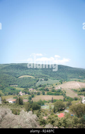 Vertical view into Tuscany country. Land is covered by trees, vineyards, olive alleys and few farm houses. Hill in background is with green forest. Sk Stock Photo