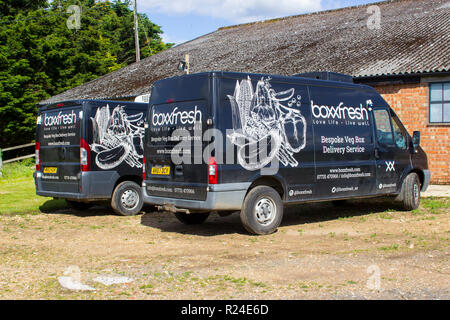 10 June 2017 A pair of Ford transit delivery vans in a small business boxxfresh livery. this company specialises in the supply and delivery of boxed f Stock Photo