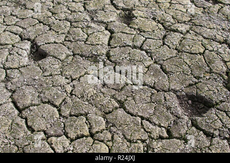 Dry ground in the almost dry riverbed of Edersee Lake in Kellerwald-Edersee National Park. Stock Photo