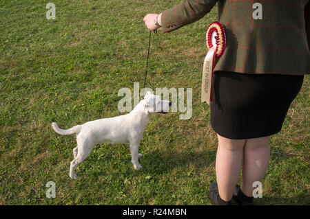 A dog owner in a tweed jacket and her dog with Rosette for Best in Group at Thame Horse and Dog Show Stock Photo