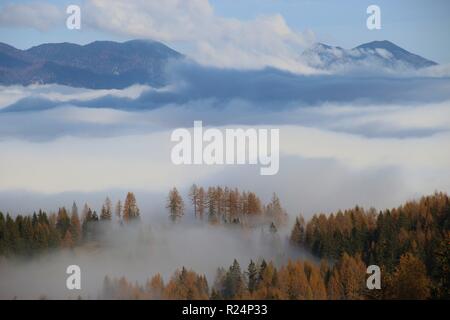 Dense fog above the valley, in autumn. Some firs are to be seen. Seen from above, in the Limestone alps national park, Upper Austria, Europe. Stock Photo