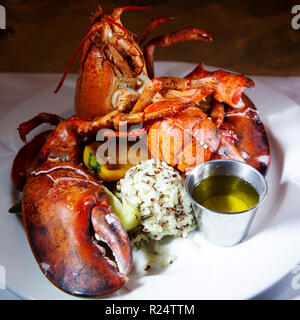 Lobster served in Canada. It is served accompanied by rice and a butter sauce. Stock Photo