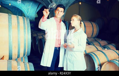 Two concentrated wine house workers checking quality of product in cellar Stock Photo