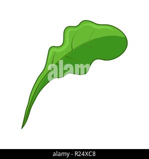vegetable leaf icon design isolated on white background Stock Vector