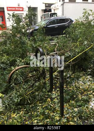 New York, NY, USA. 16th Nov, 2018. Trees with broken and fallen limbs in Greenwich Village following a major snow, ice and rainstorm in New York, New York on November 16, 2018. Credit: Rainmaker Photo/Media Punch/Alamy Live News Stock Photo