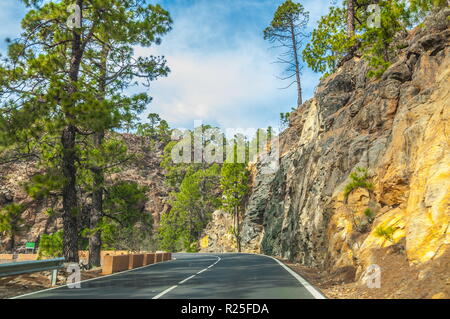 Road along the canarian pines in Corona Forestal Nature Park, Tenerife, Canary Islands Stock Photo