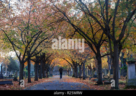 Beautiful colours on autumnal trees in a churchyard in London Stock Photo