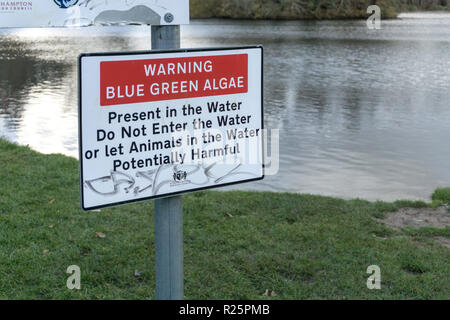 Warning Blue Green Algae sign by the side of Delapre Lake, Northampton, UK Stock Photo