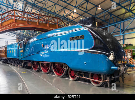 Mallard no 4468, the fastest ever steam train, in the Great Hall, National Railway Museum, York, England, UK. Stock Photo