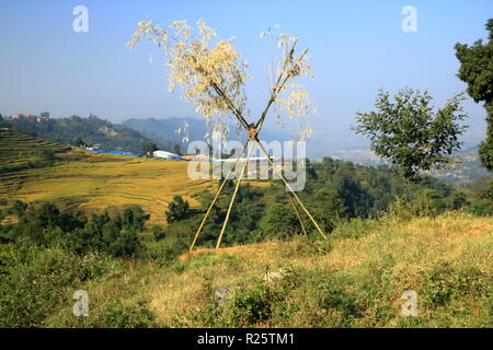 Improvised Dashain swing in Nepal Stock Photo