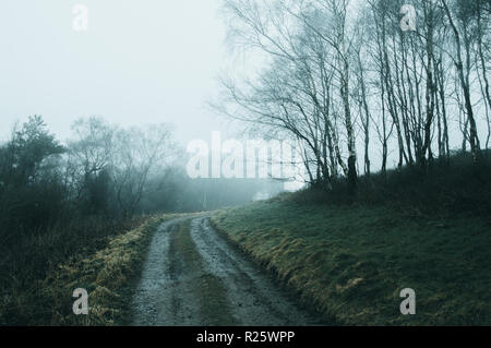 A muddy track through a spooky woodland on a foggy winters day, with cold, muted edit Stock Photo