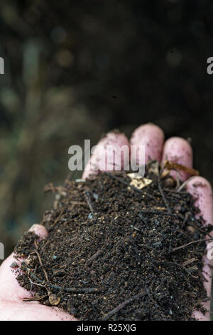 woman's hand holding finished compost Stock Photo - Alamy