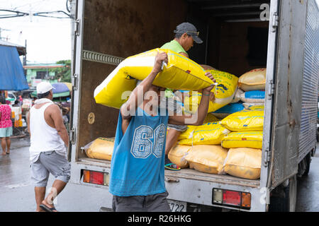 Concept image of rice usage within the Philippines,a man carrying a large 50kg sack of rice from a van. Stock Photo