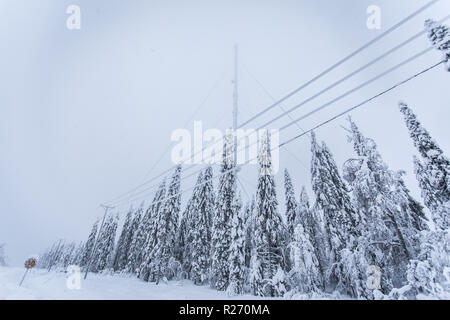 Heavy snow landscape from Sotkamo, Finland Stock Photo