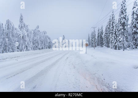 Heavy snow landscape from Sotkamo, Finland Stock Photo