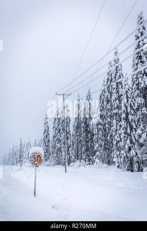Heavy snow landscape from Sotkamo, Finland Stock Photo