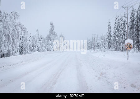 Heavy snow landscape from Sotkamo, Finland Stock Photo