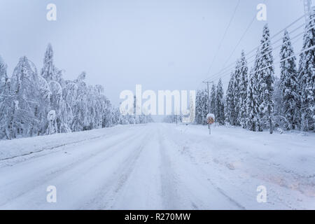 Heavy snow landscape from Sotkamo, Finland Stock Photo