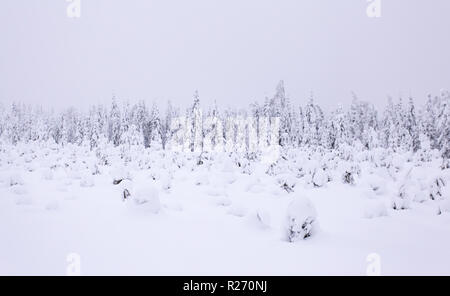 Heavy snow landscape from Sotkamo, Finland Stock Photo