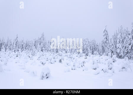 Heavy snow landscape from Sotkamo, Finland Stock Photo
