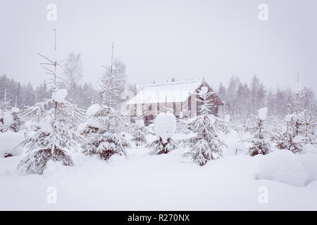 Heavy snow landscape from Sotkamo, Finland Stock Photo