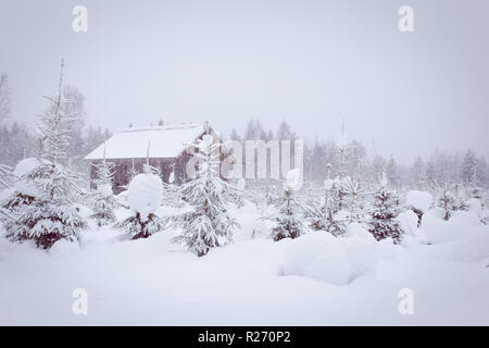 Heavy snow landscape from Sotkamo, Finland Stock Photo