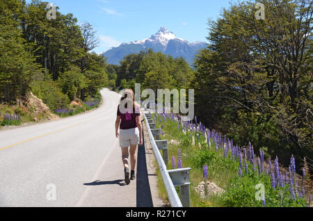 Driving the Carretera Austral, Quelat, Aysen, Chile Stock Photo