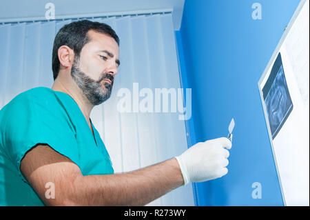 caucasian male doctor looking at x-radiography in dentist studio, Model released, one person Stock Photo