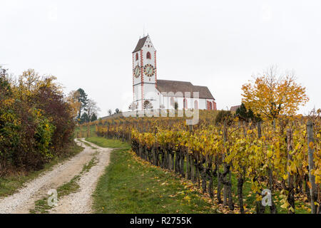 view of a picturesque white country church surrounded by golden vineyard pinot noir grapevine landscape with a gravel country road in the foreground Stock Photo