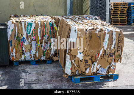 Miami Beach Florida,cardboard boxes,stack,compressed,flat,pallet,recycle,recycling,conservation,green movement,reuse,ecology,FL090131006 Stock Photo