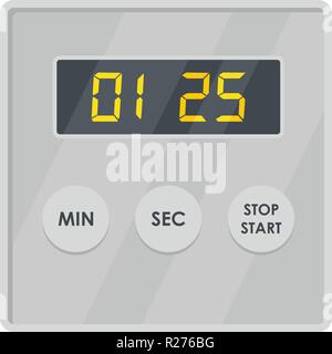 Display timer icon. Flat illustration of display timer vector icon for web Stock Vector