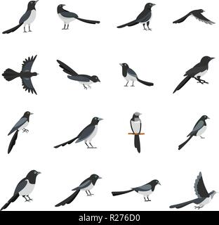 Magpie crow bird icons set. Flat illustration of 16 magpie crow bird vector icons for web Stock Vector