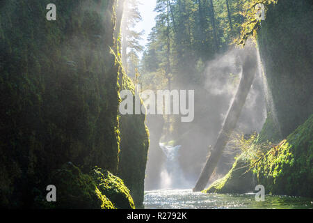 Columbia River Gorge - Hood River, Oregon. Sun shines on Small waterfall and forest stream Stock Photo