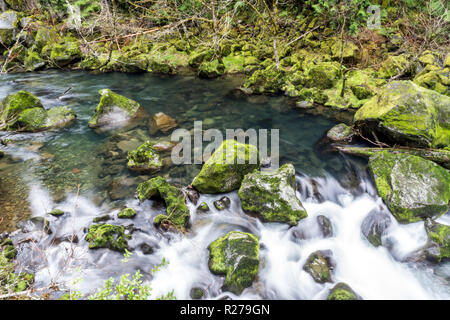 Iconic Moss covered rocks at stream in Oregon, Columbia River Gorge popular with tourists Stock Photo