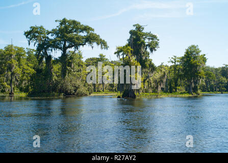 Mysterious Landscape with Trees, Spanish Moss and the Waters of Wakulla River at Wakulla Springs, Florida, United States Stock Photo
