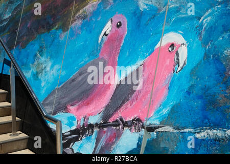 Two Pink and Grey Parrots Painted on a Wall Australia Stock Photo