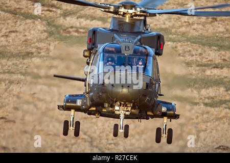 Royal Navy Merlin helicopter with crew Stock Photo