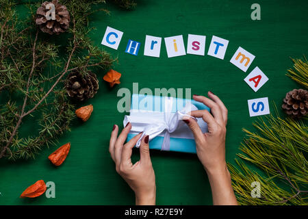 Christmas new year year female hands holding fruit tree Stock Photo